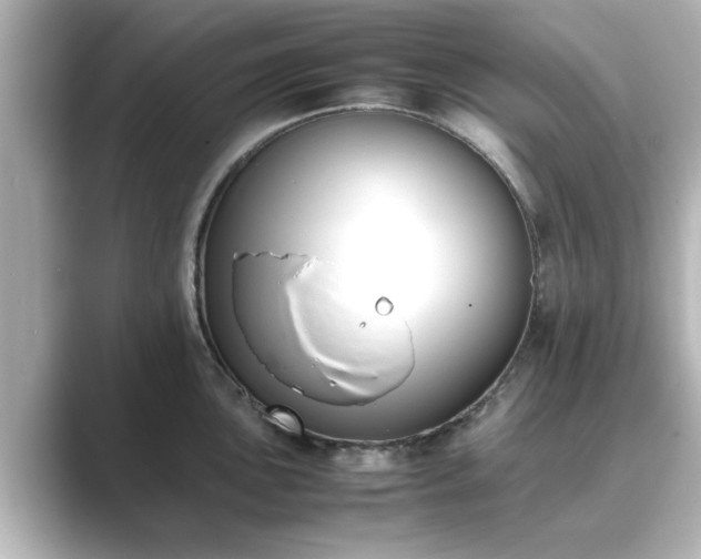 X0000089401051200706221114