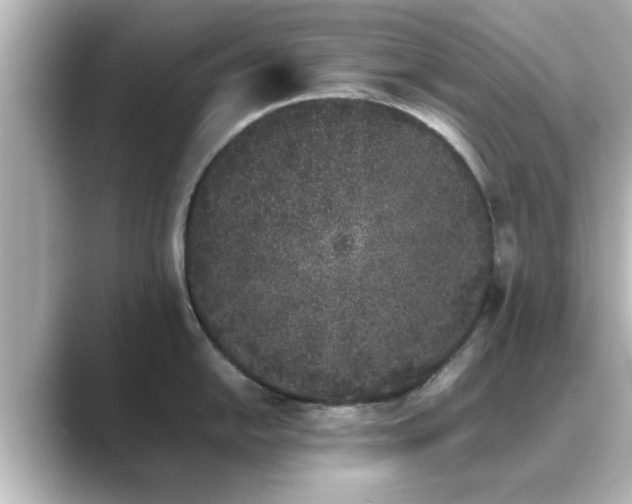 X0000089401054200706221114