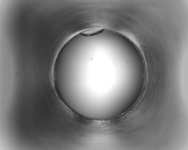 X0000089401056200706221114