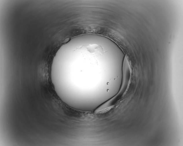 X0000089401058200706221113