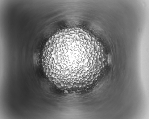 X0000089401059200706221113