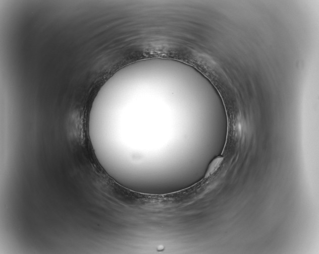 X0000089401060200706221113