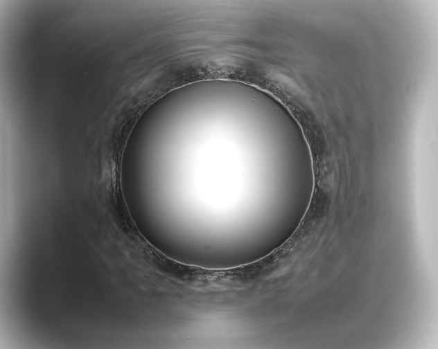 X0000089401061200706221113