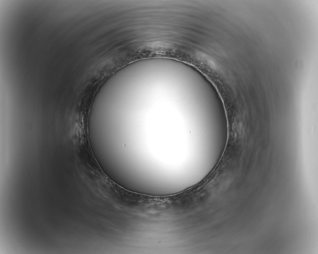 X0000089401062200706221113