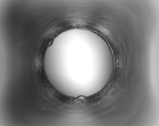 X0000089401063200706221113