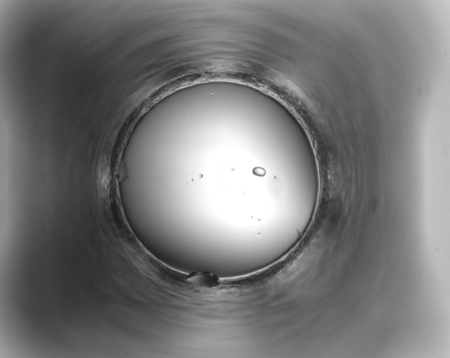 X0000089401065200706221113