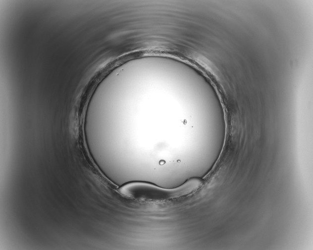 X0000089401067200706221113