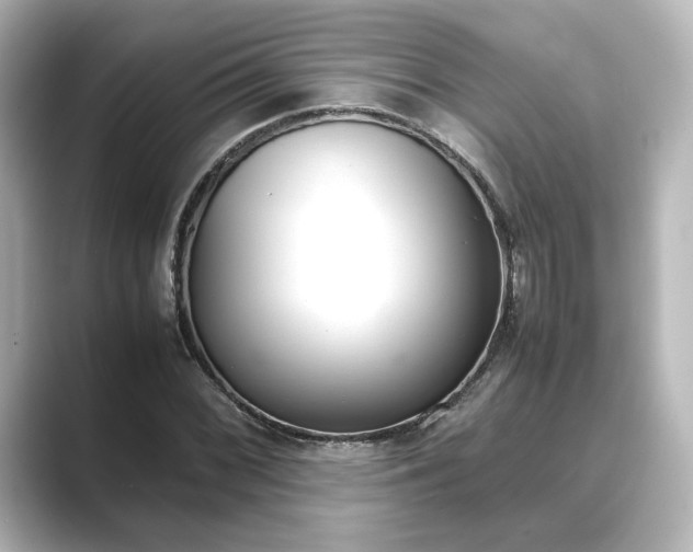 X0000089401068200706221113