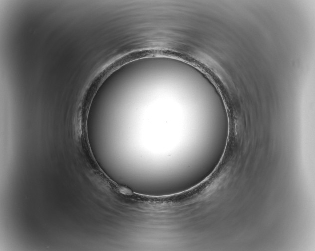 X0000089401069200706221113