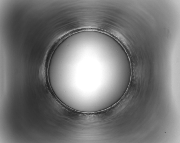 X0000089401072200706221113