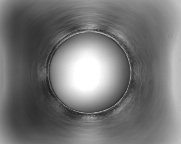 X0000089401073200706221113