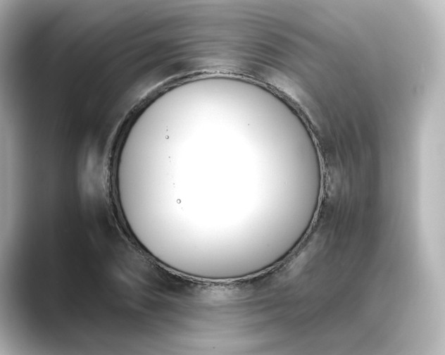 X0000089401074200706221113