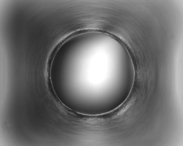 X0000089401077200706221113