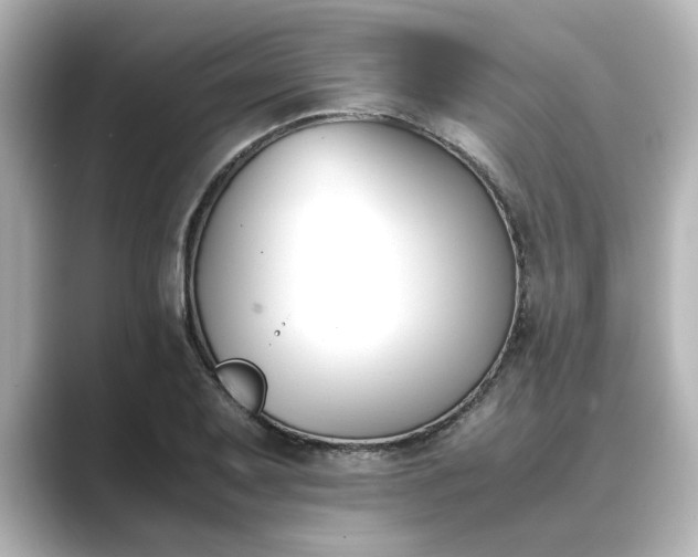 X0000089401079200706221113