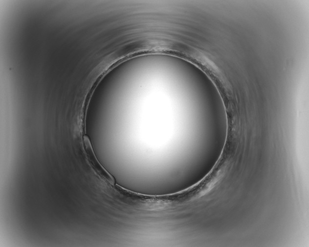 X0000089401081200706221113