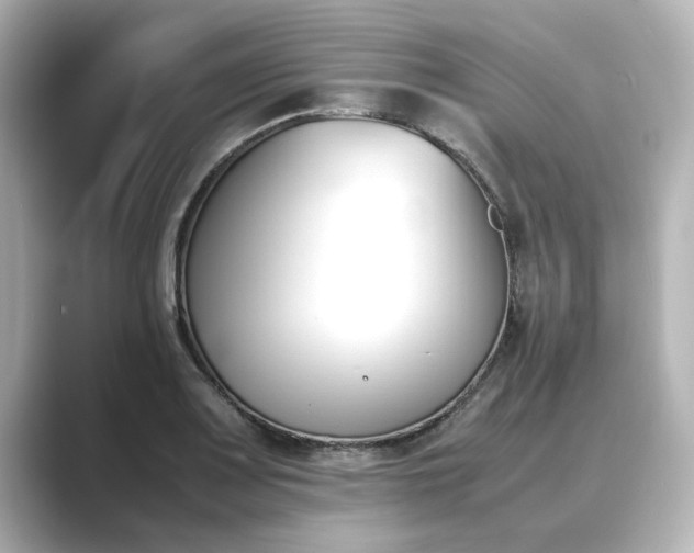 X0000089401083200706221113