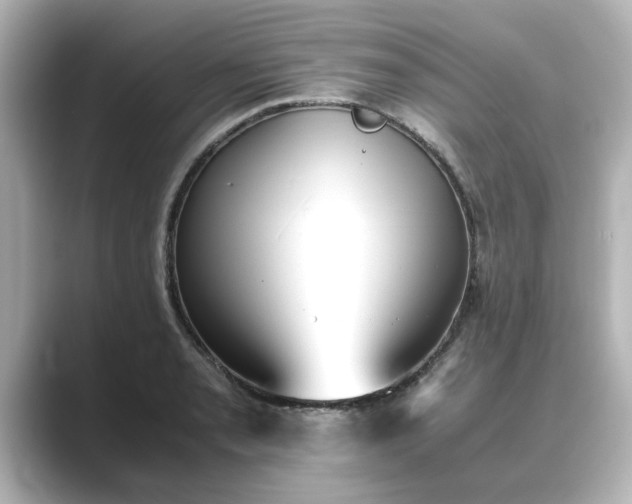 X0000089401085200706221113