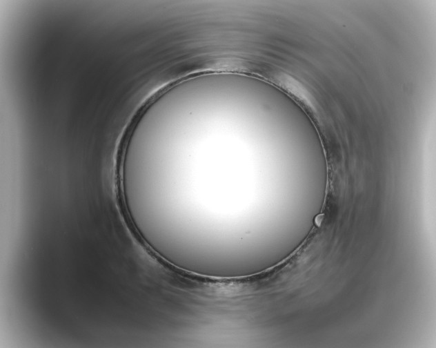 X0000089401087200706221113