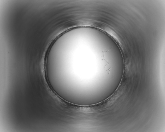 X0000089401088200706221113