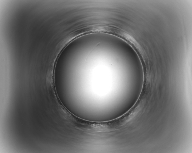 X0000089401089200706221113