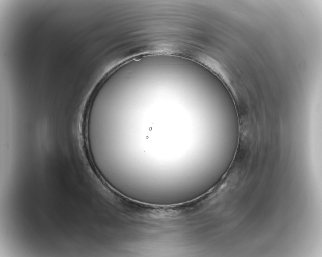 X0000089401091200706221113