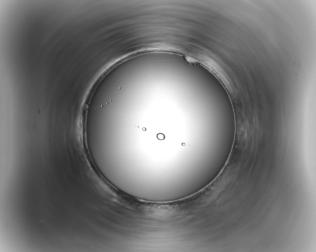 X0000089401092200706221113