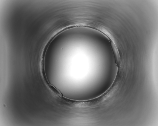 X0000089401093200706221113