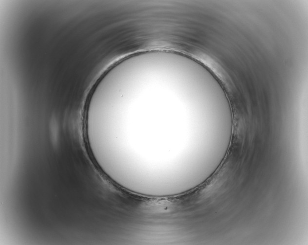 X0000089401094200706221113