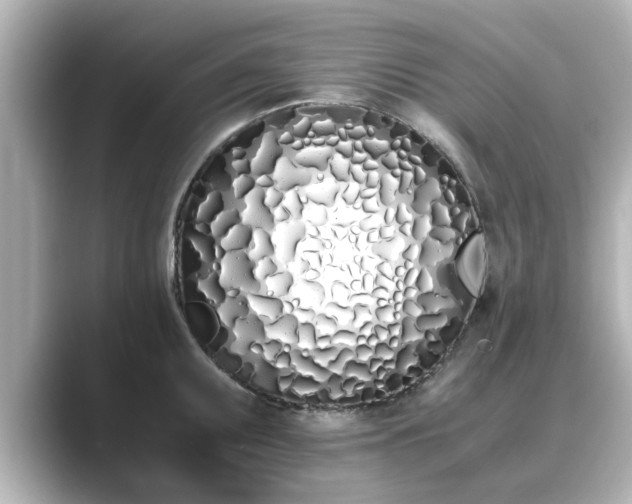 X0000089401095200706221113