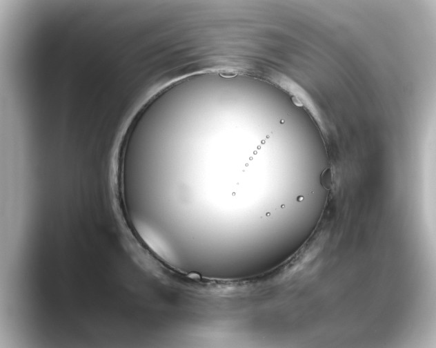 X0000089401099200706221113