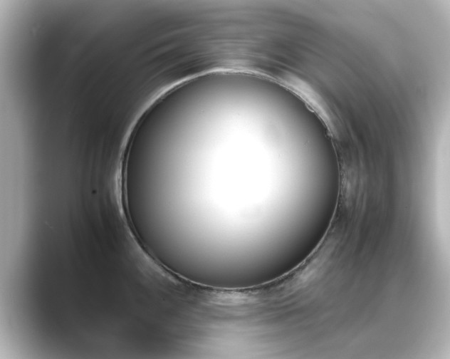 X0000089401100200706221113