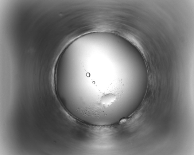 X0000089401103200706221113