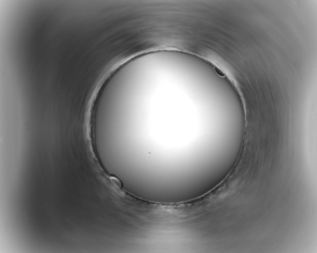 X0000089401104200706221113