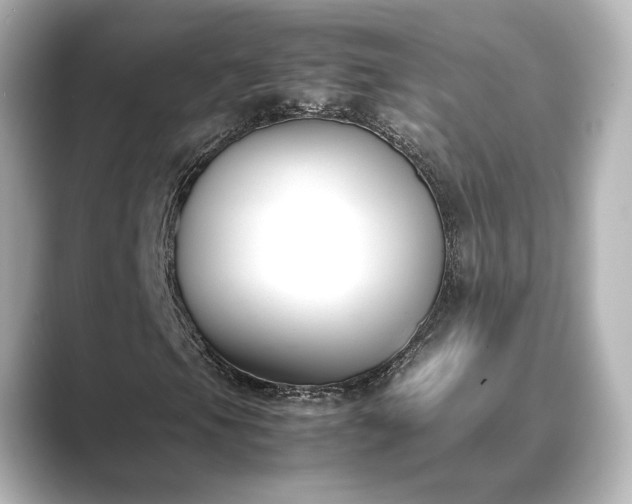 X0000089401105200706221112