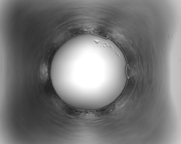 X0000089401106200706221112