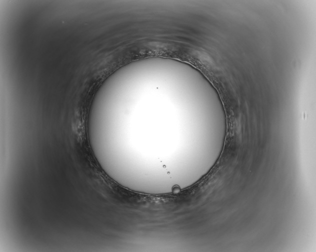 X0000089401109200706221112