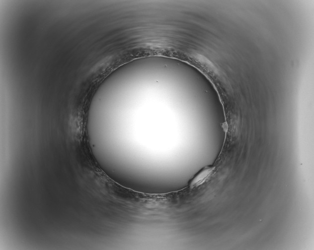 X0000089401110200706221112