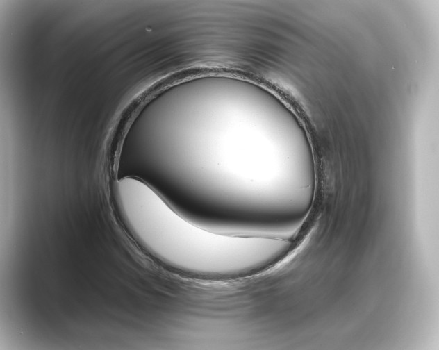 X0000089401114200706221112