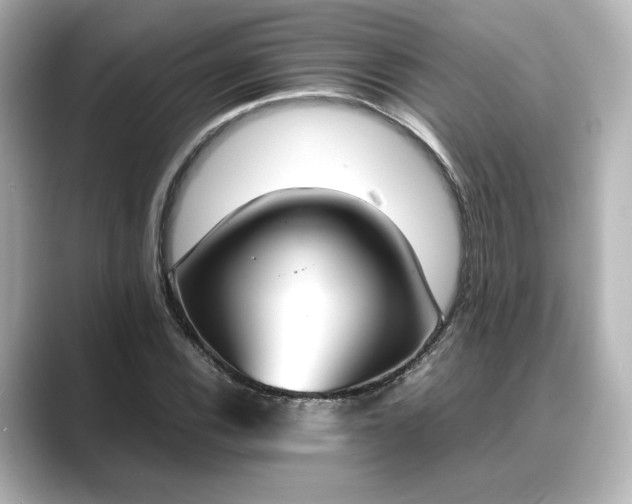 X0000089401116200706221112