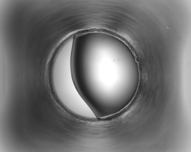 X0000089401118200706221112