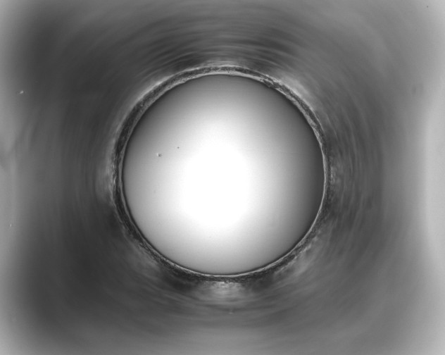 X0000089401119200706221112