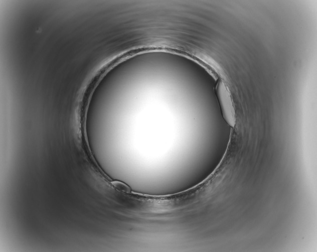 X0000089401120200706221112