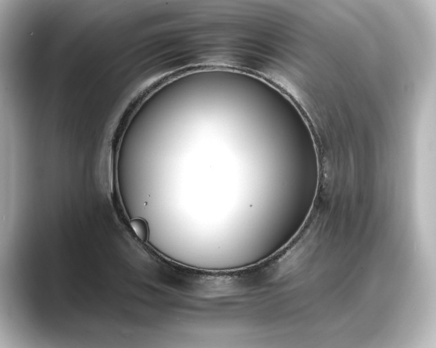 X0000089401123200706221112