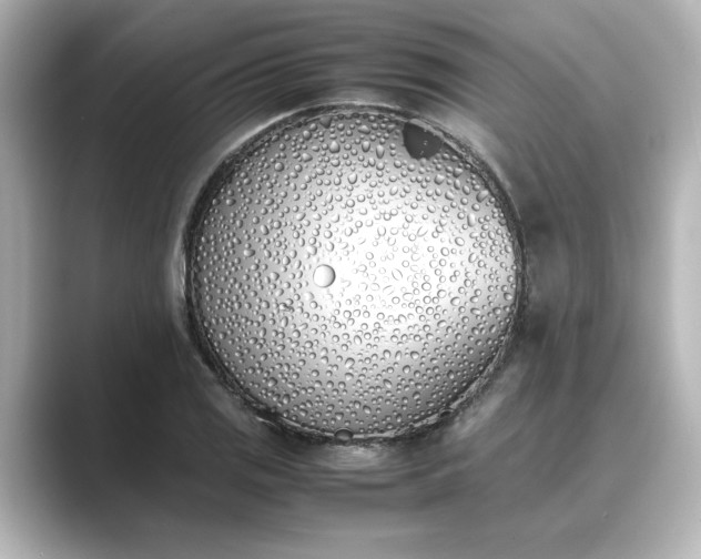 X0000089401125200706221112