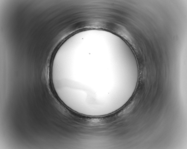 X0000089401130200706221113