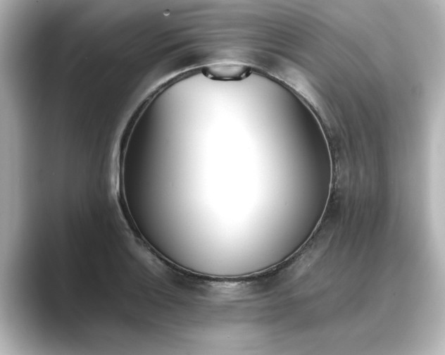 X0000089401132200706221113