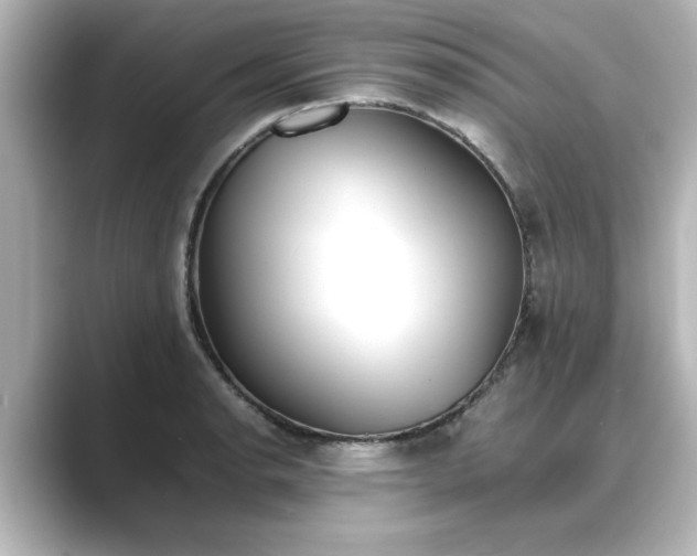 X0000089401134200706221113