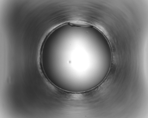 X0000089401136200706221113