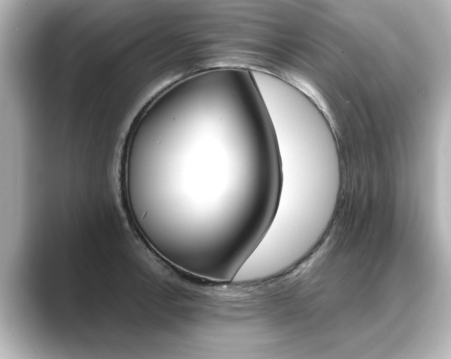 X0000089401138200706221113