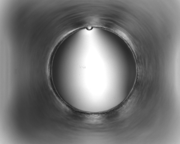 X0000089401141200706221113